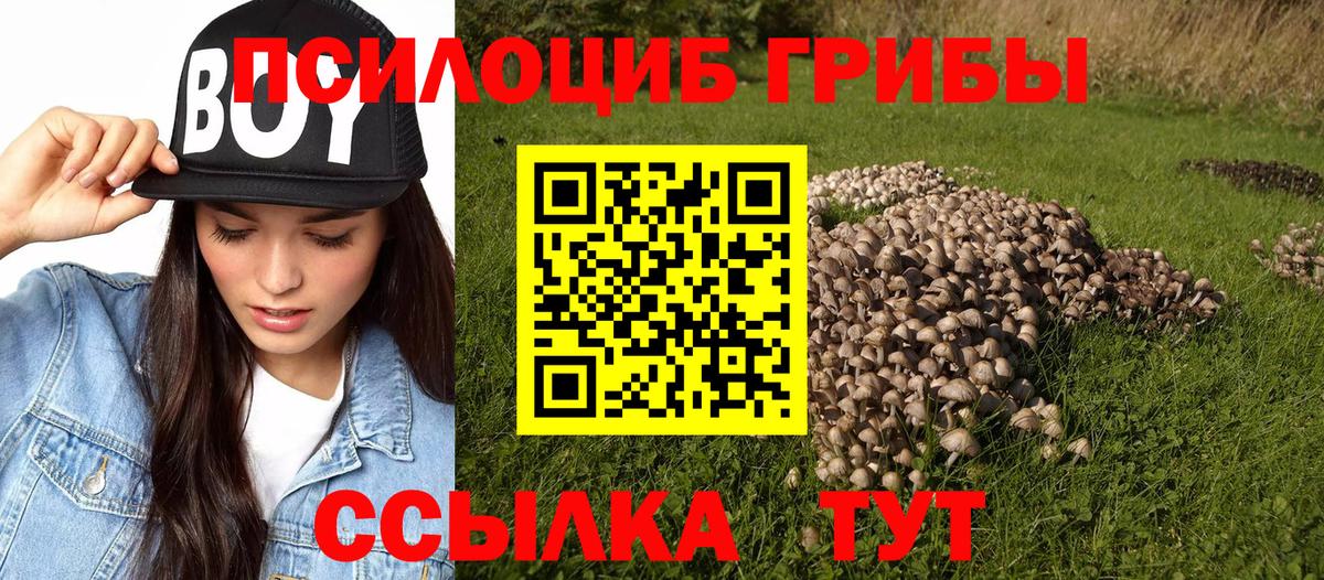 хочу наркоту  Псилоцибиновые грибы мухоморы  Россия  Вход с VPN  Галлюциногенные грибы ЛСД 